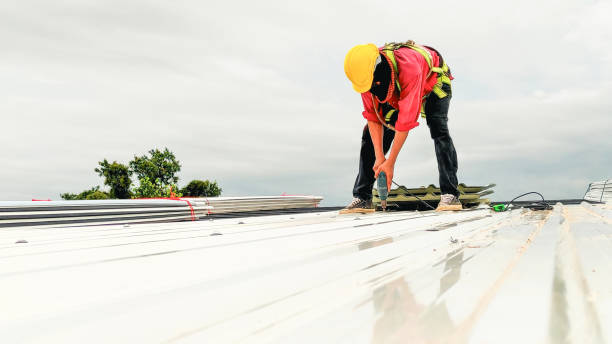 Best Roof Coating and Sealing  in Ketchum, ID
